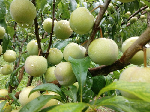 7790�ط�����(�й�)���޹�˾