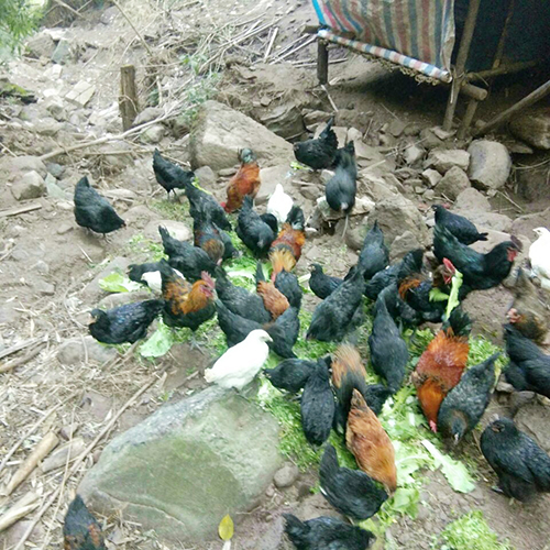 7790�ط�����(�й�)���޹�˾