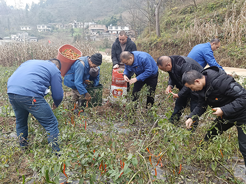 7790�ط�����(�й�)���޹�˾