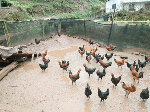 7790�ط�����(�й�)���޹�˾