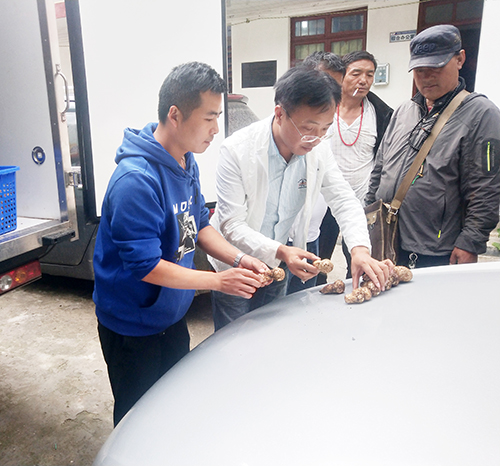 7790�ط�����(�й�)���޹�˾