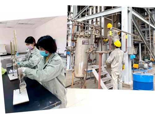 7790�ط�����(�й�)���޹�˾