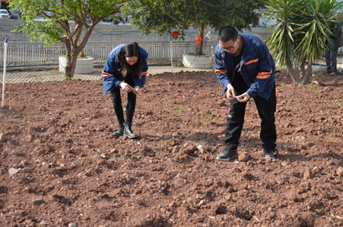 7790�ط�����(�й�)���޹�˾