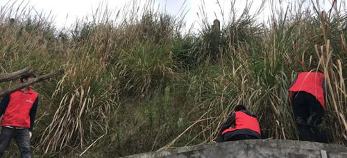 7790�ط�����(�й�)���޹�˾