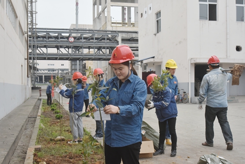 7790�ط�����(�й�)���޹�˾