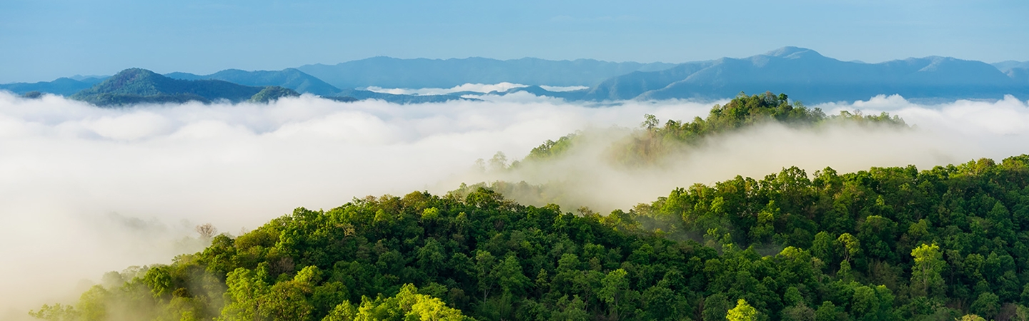 7790�ط�����(�й�)���޹�˾