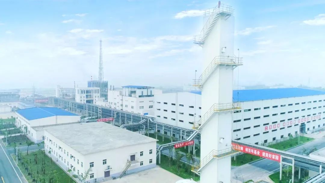 7790±Ø·¢¼¯ÍÅ(Öйú)ÓÐÏÞ¹«Ë¾