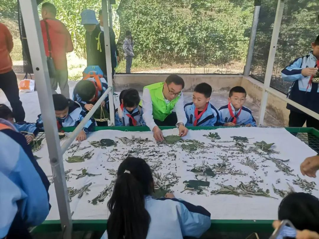 7790�ط�����(�й�)���޹�˾